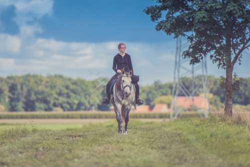 Girl Horse Field Vintage Free Photo