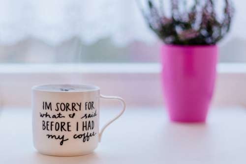 Sorry Coffee Mug Free Photo