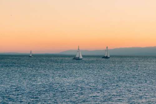 Sailboats on Water Sunset Free Photo