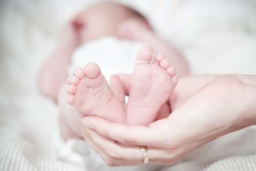 Tiny Baby Feet Woman Hand Free Photo