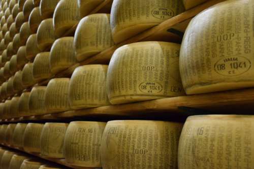 Parmesan Cheese Shelves Free Photo