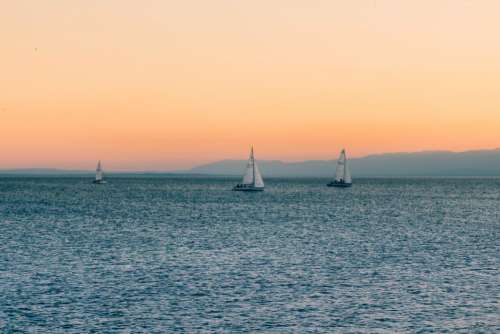 Sea Sail Boats Sunset Free Photo
