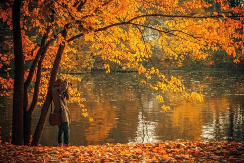 Autumn Lake Photographer Woman Free Photo