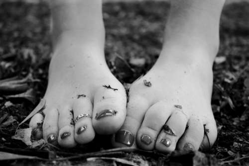 Woman Feet Black White Leaves Free Photo