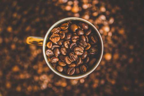 Cup Full of Coffee Beans Free Photo