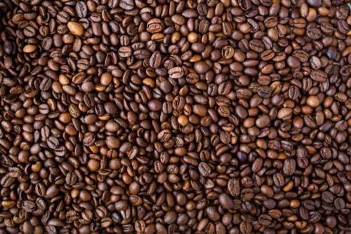 Coffee Beans Free Photo