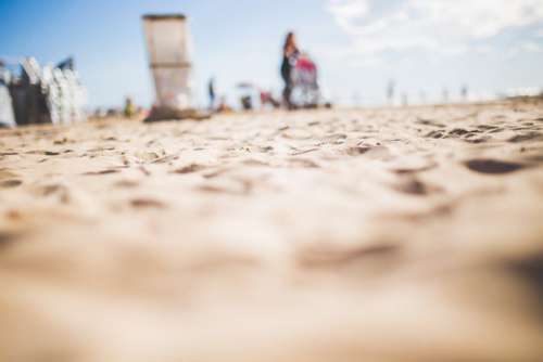 People Cleaning Beach Free Photo