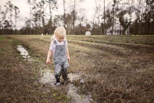 Small Child Mud Free Photo