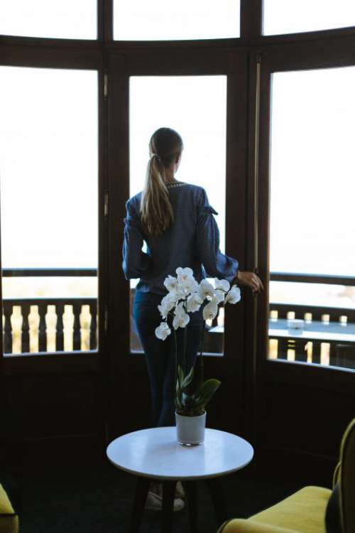Orchid and Woman by Window Free Photo