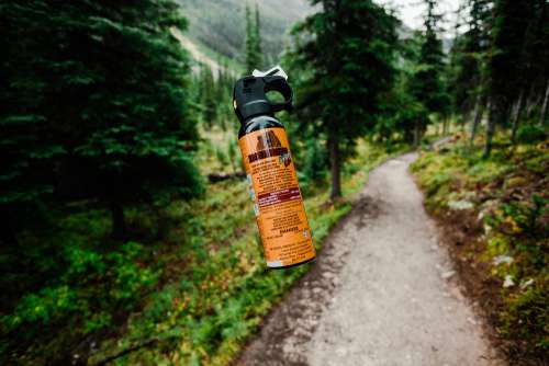 Bear Spray on a Hiking Trail Free Photo
