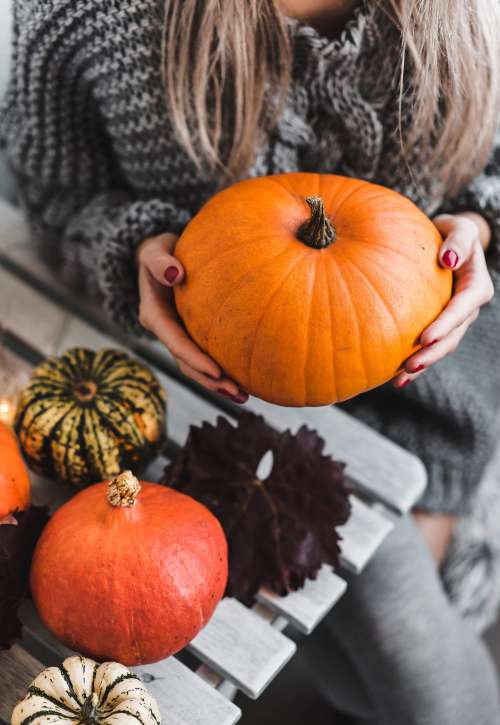 Woman Holding a Halloween Pumpkin Free Photo