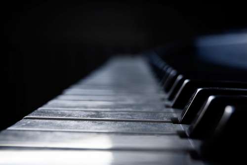 Piano Instrument Keyboard White Black