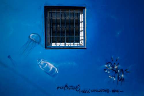 Wall Blue Window Grafitty Art Graffiti Spray