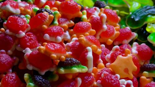 Sugar Turtle Colorful Colo Animals Candy