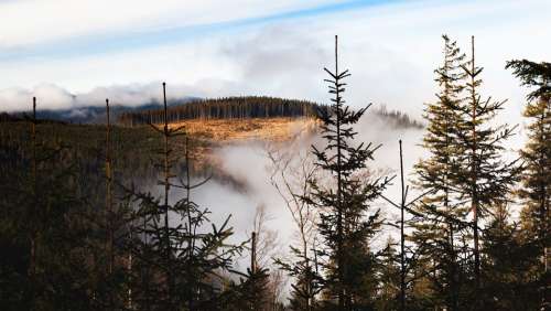 Pilsko Beskidy Beskids Poland Mountains Landscape