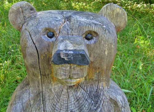 Bear Wood Statue Figure Face Portrait Meadow