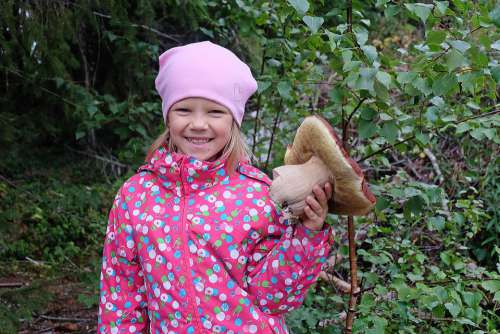 Beauty Love Nature Lake Finland Macro Mushroom