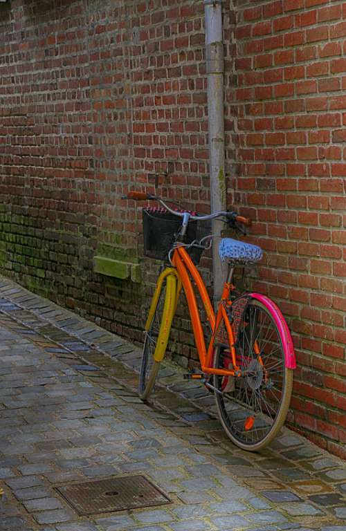 Bike Multicolor Lane Paved Pavers Only Wall