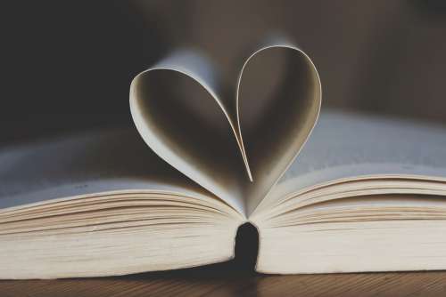 Book Open Book Pages Heart Shape Heart Leaves