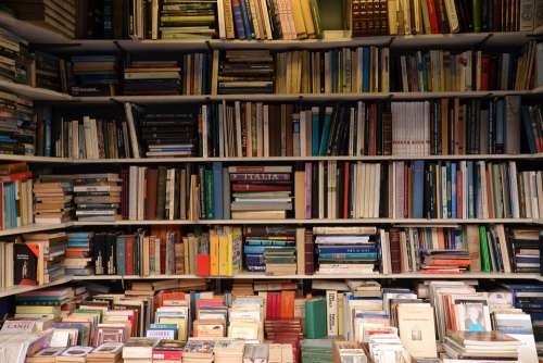 Books Bookshop Read Business Library Bookshelf