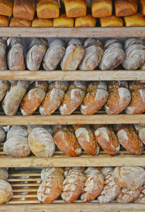 Bread Shelf Bakery Food Fresh Loaf Of Bread