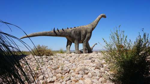 Dinosaur Basin Paleontology