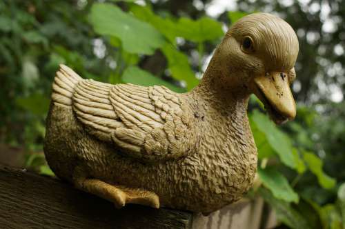 Duck Sculpture Clay Garden Looking Autumn