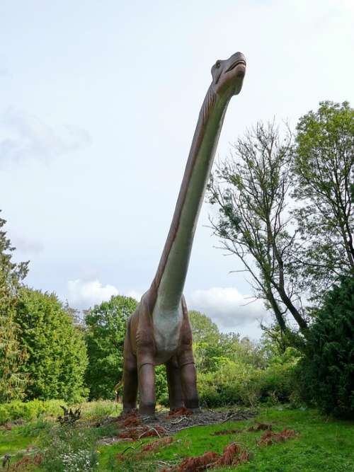 Expensive Prehistoric Dinosaur Extinct Dino