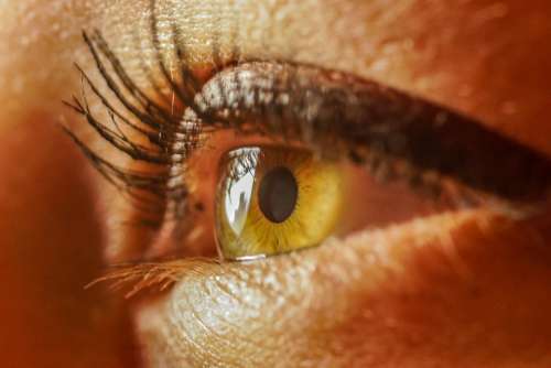 Eye Detail Woman Pupil Vision Girl Iris Close