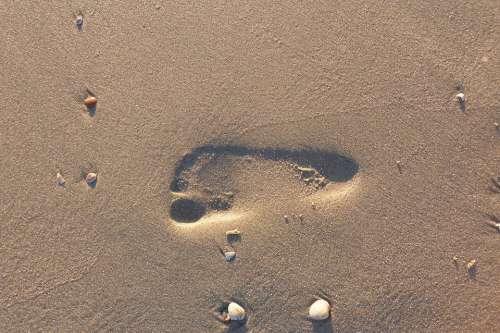 Footprint Sand Beach Sea Traces