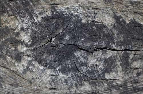 Natural Wood Wood Grunge Texture Rough Pattern