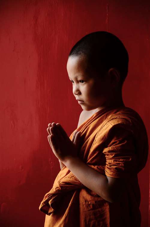 Novice Buddhism Monks Religion Faith Asia