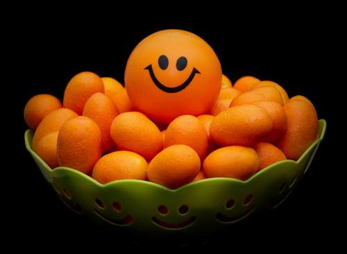 Orange Joy Smiley Happy Smile Emotions Funny Sun