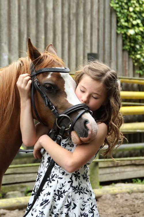 Pony Girl Horse Child Animal Hobby Cute Coupling