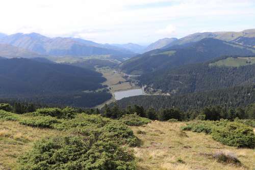 Pyrenees Mountain Fir Nature Landscape Pyrennées