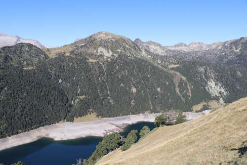 Pyrenees Mountain Fir Nature Landscape Pyrennées