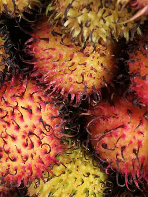 Rambutan Fruit Market Power Costs Vitamins