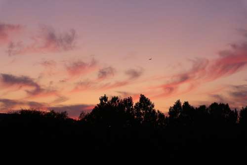 Sky Pink Luxembourg Nature