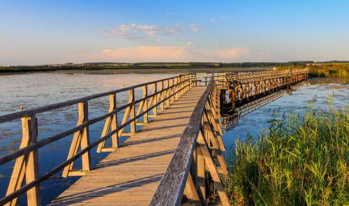 Spring Lake Federsee Pier Nature Nature Conservation