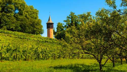 Sweden Tower Mainau Island Tower Vines