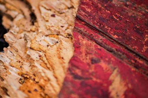Texture Old Red Paint Chipped Broken Wood Plank