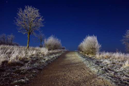 Winter Landscape Snow Ice Nature Frozen Icy