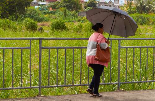 Woman With Umbrella Walking Woman Umbrella Poor