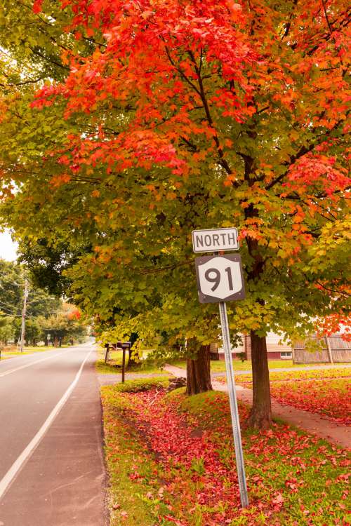 Road Sign In Autumn