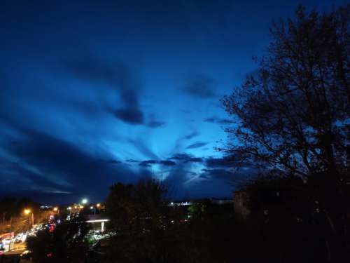 tree sky cloud blue night