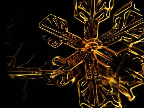 snowflake micro photo microscope shine glow