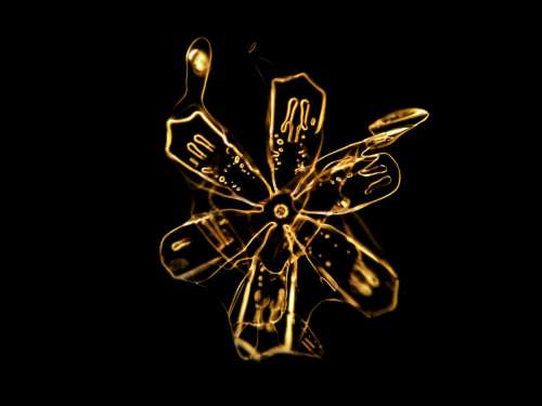 snowflake micro photo microscope shine glow