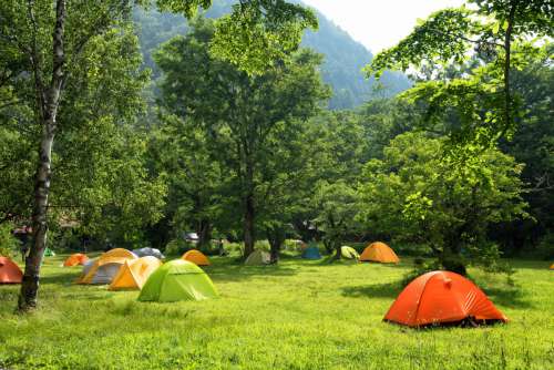 tree camping natural landscape tent grass