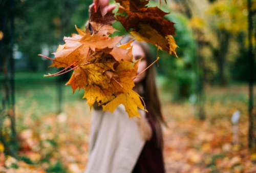 Woman dropped colorful leaves 