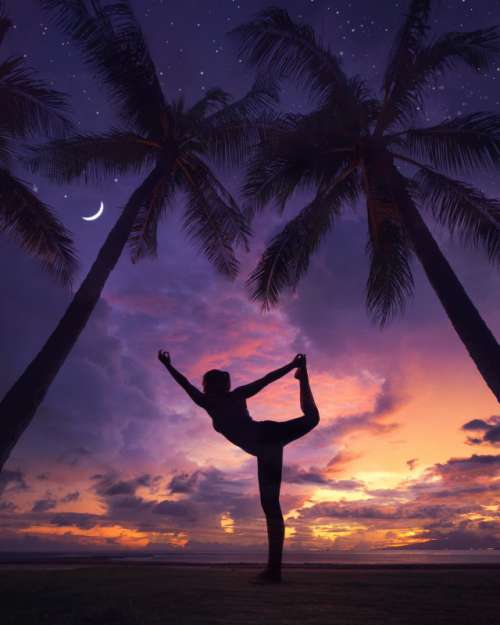 Yoga silhouette at the park between palm trees with amazing sunset 